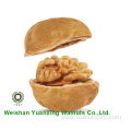 Cost-effective Walnut Kernels Light color Pieces(LP)